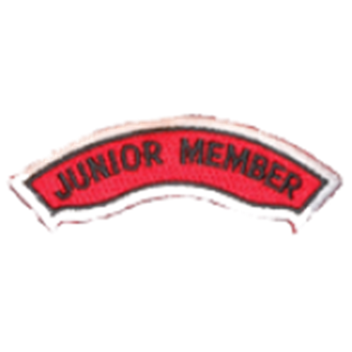 Junior Member